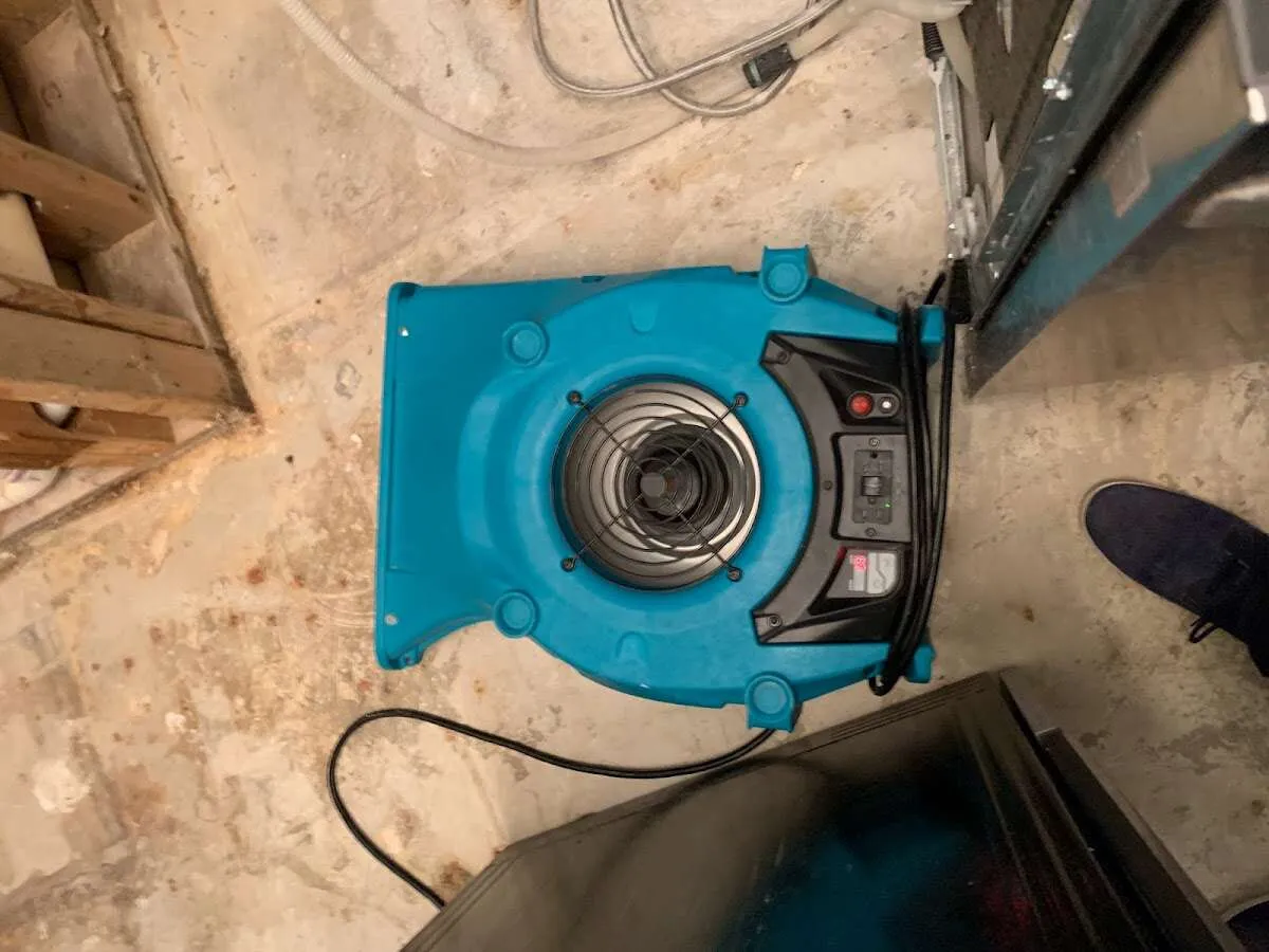 Air mover drying equipment for Mold Remediation & Removal in Glen Rock